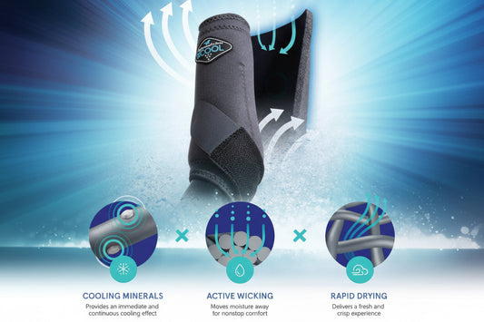 technologie des guêtres professional's choice 2XCool