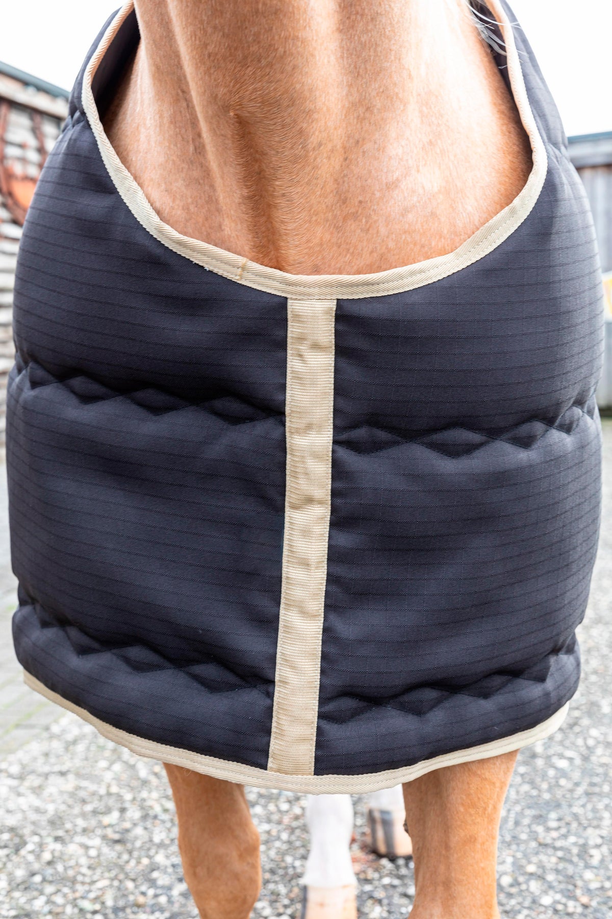 Stable Blanket California – Couverture d’écurie 240 g