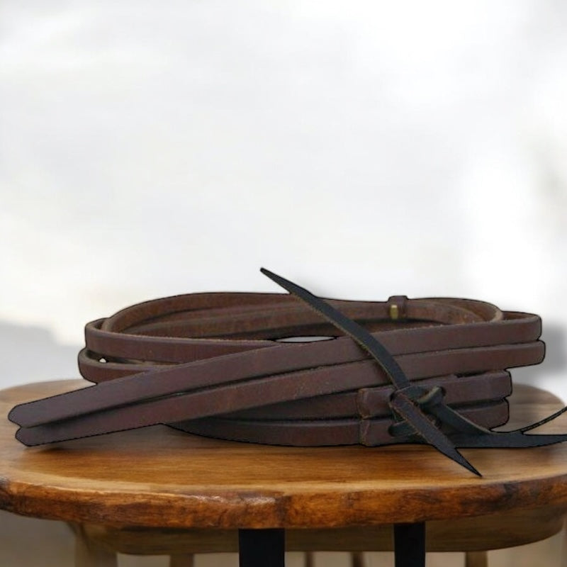 Rênes de harnais en cuir foncé