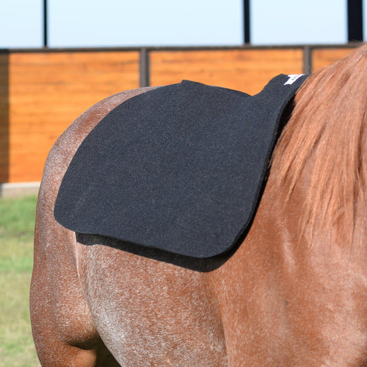 Liner en feutre 1/2 pouce Cashel | Protection et confort du cheval