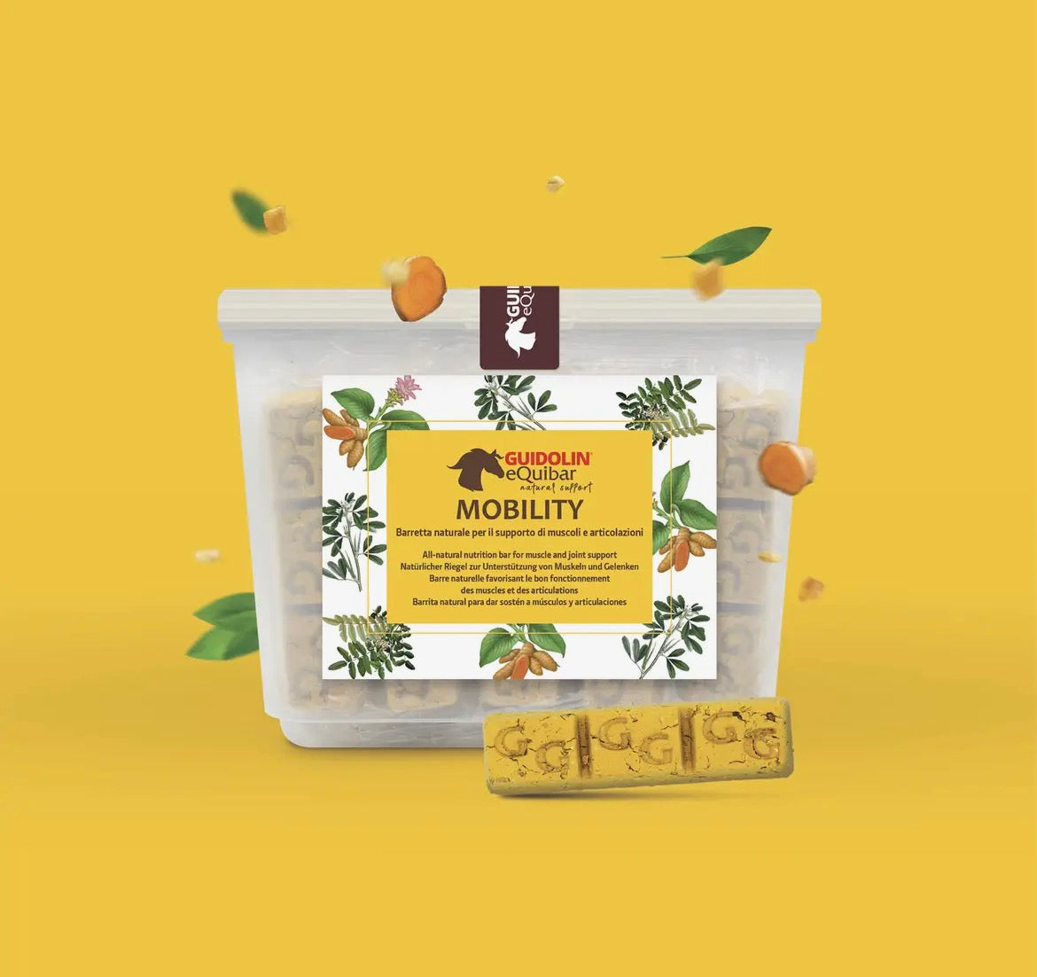 Equibar Mobility 2.5kg