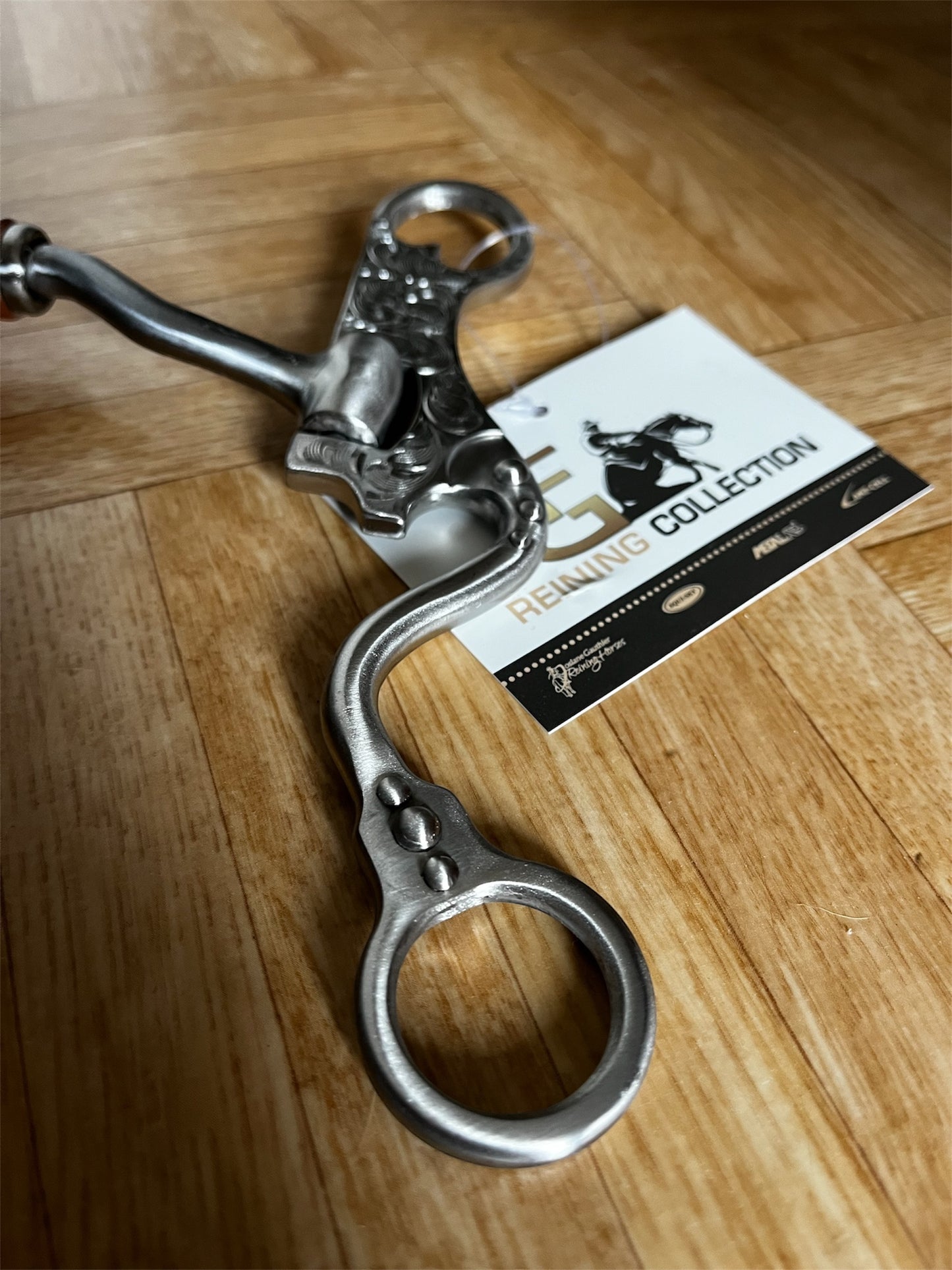 Mors Futurity Francois Gauthier de show