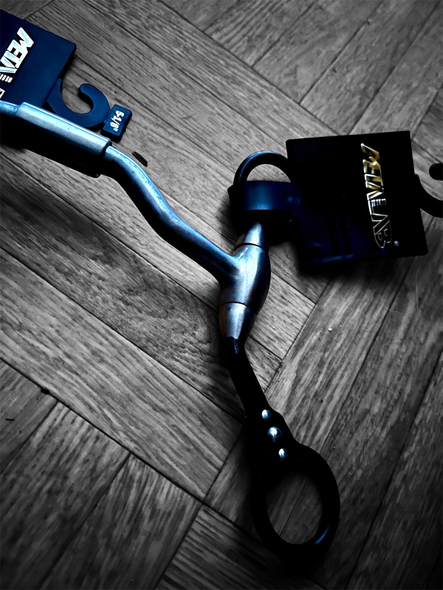 Mors Futurity François Gautier