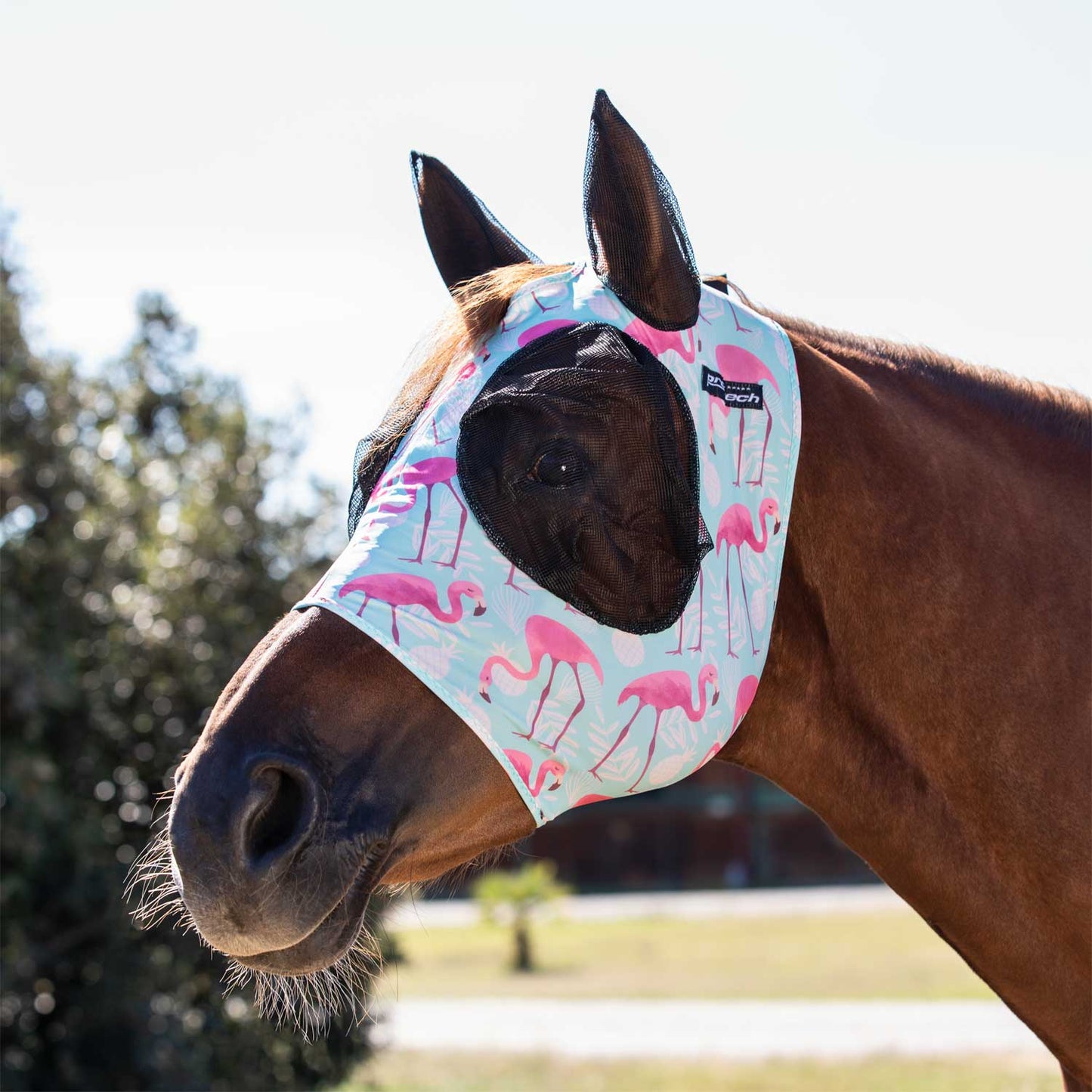 Masque anti-mouches avec filet cache-oreilles PRO-TECH