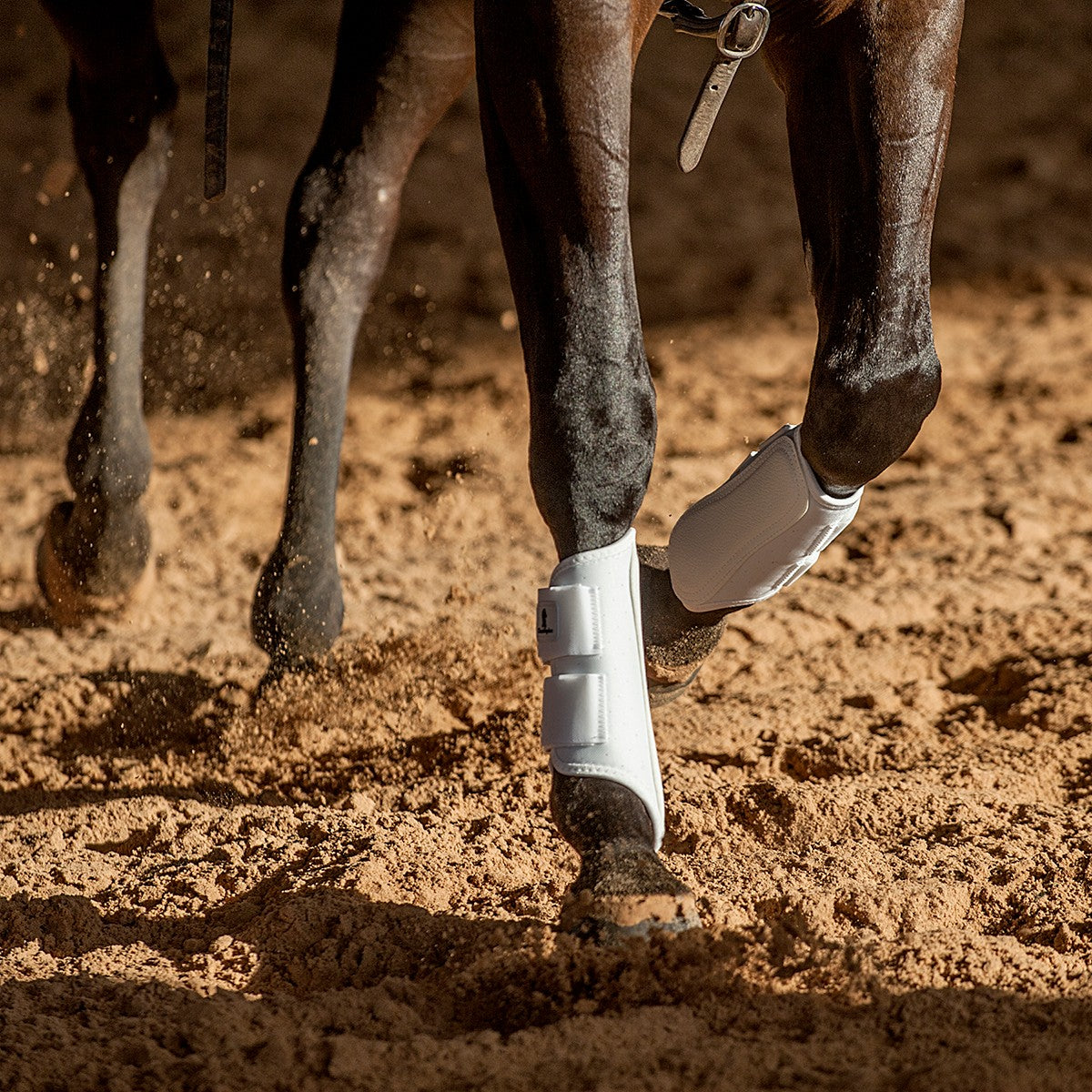 Classic Equine Splint Boots – Foreleg Protection