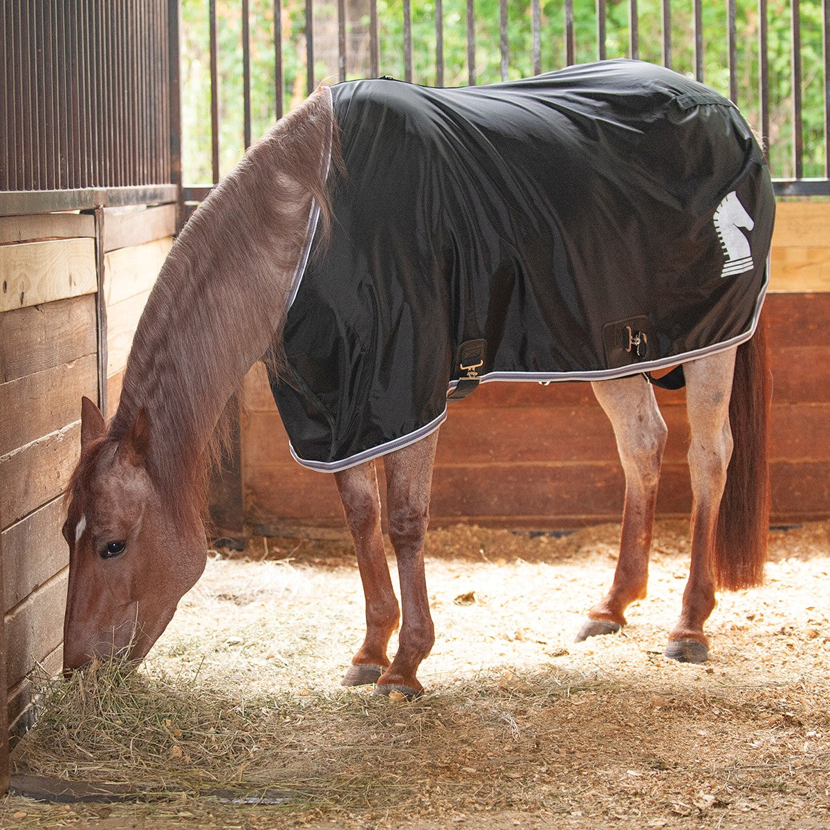 Couverture respirante pour cheval Classic Equine – Ripstop, ajustée, confortable et durable