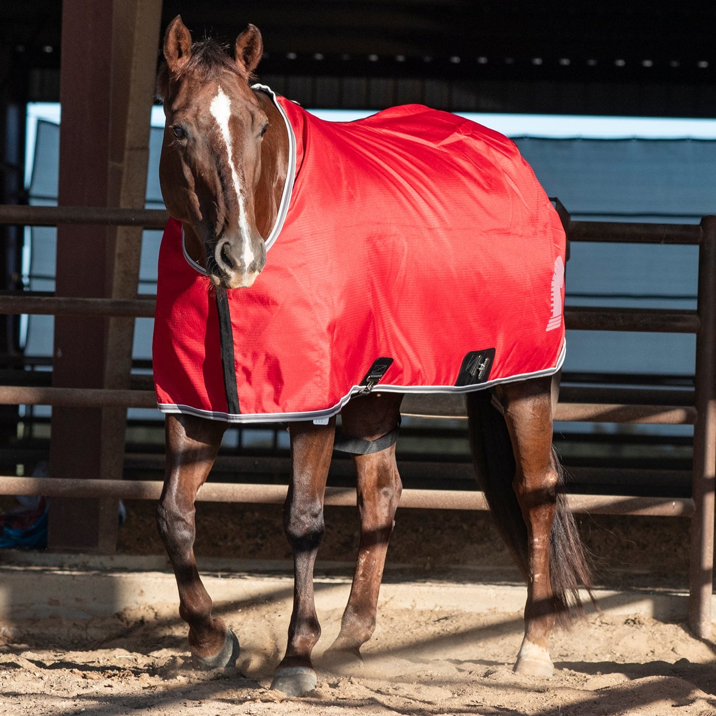 Couverture respirante pour cheval Classic Equine – Ripstop, ajustée, confortable et durable