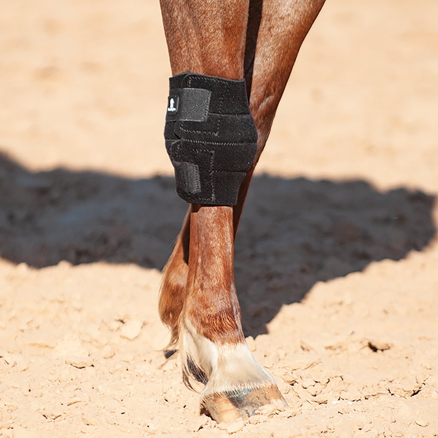 Knee Boot Classic Equine – Genouillère de Protection pour Cheval