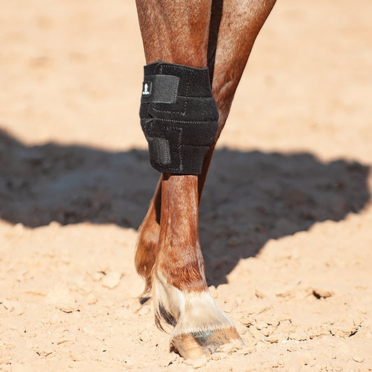 Classic Equine Knee Boot – Protective Knee Pad for Horses