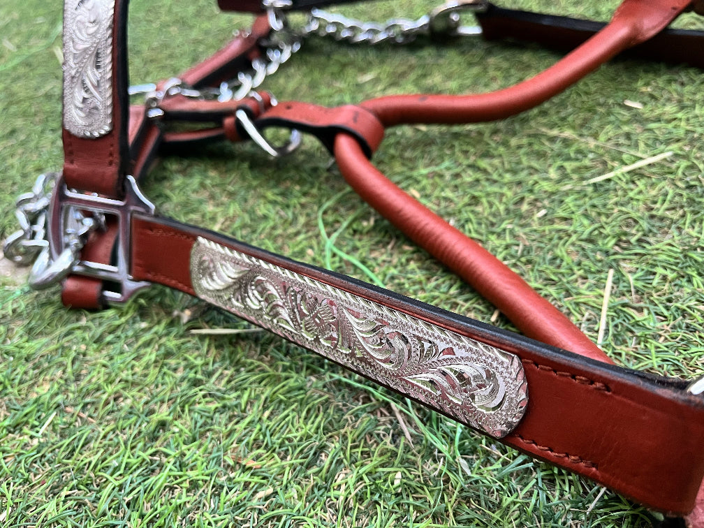 Licol de show western en cuir – ferrures argentées avec chaîne – taille Cob (M)