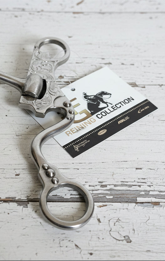 Mors Futurity gravé François Gauthier pour compétitions western