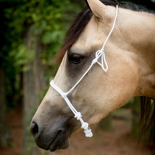 Muserolle d’entraînement LAMI-CELL François Gauthier en corde polypropylène, résistante et fonctionnelle