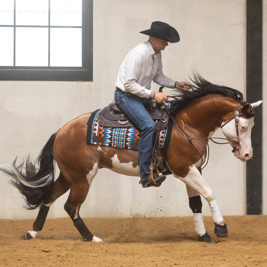 martingales western cowboy tack lami-cell avec bernard fonck