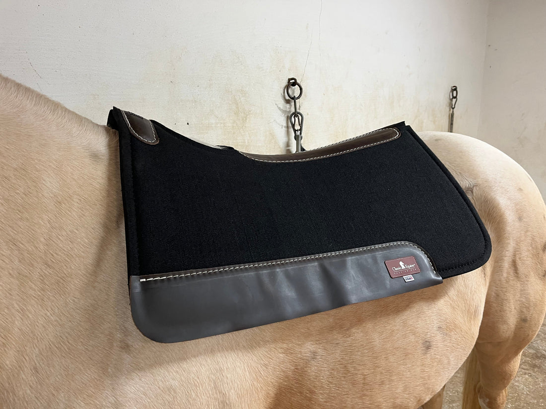 Choisir son pad western : guide complet pour le confort du cheval