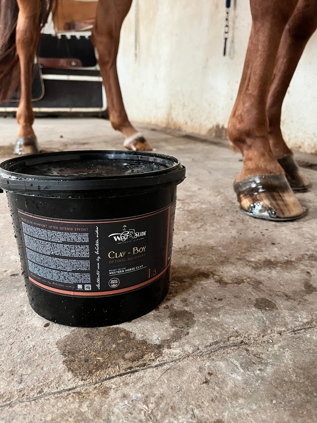 Argile de récupération Clay Boy West Slide appliquée sur les membres d'un cheval de reining