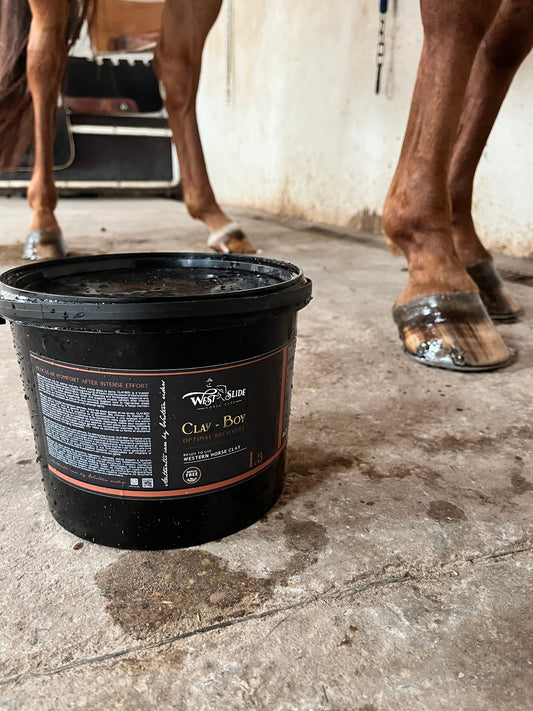 Argile de récupération Clay Boy West Slide appliquée sur les membres d'un cheval de reining