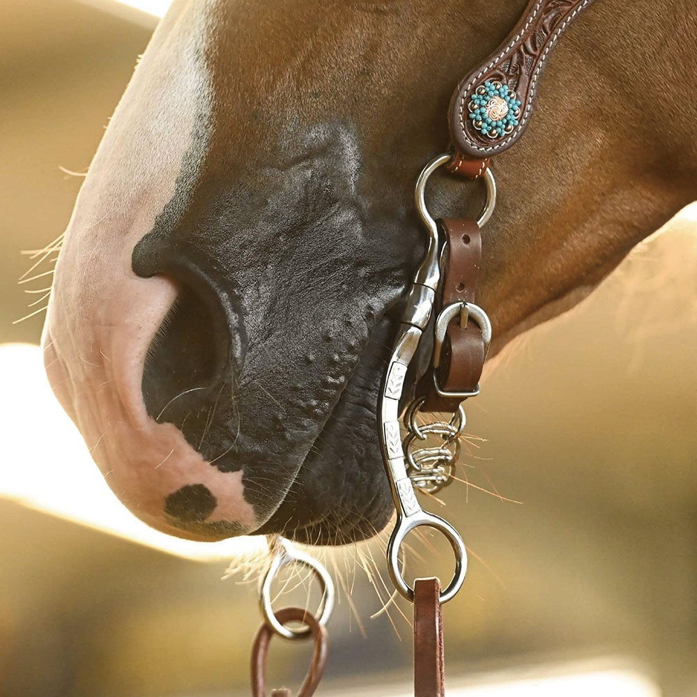 Mors western : comment choisir entre snaffle, futurity et correctional