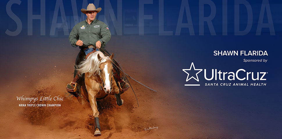 UltraCruz® : gamme de grooming pour chevaux – soins complets et naturels