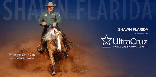 UltraCruz® : gamme de grooming pour chevaux – soins complets et naturels