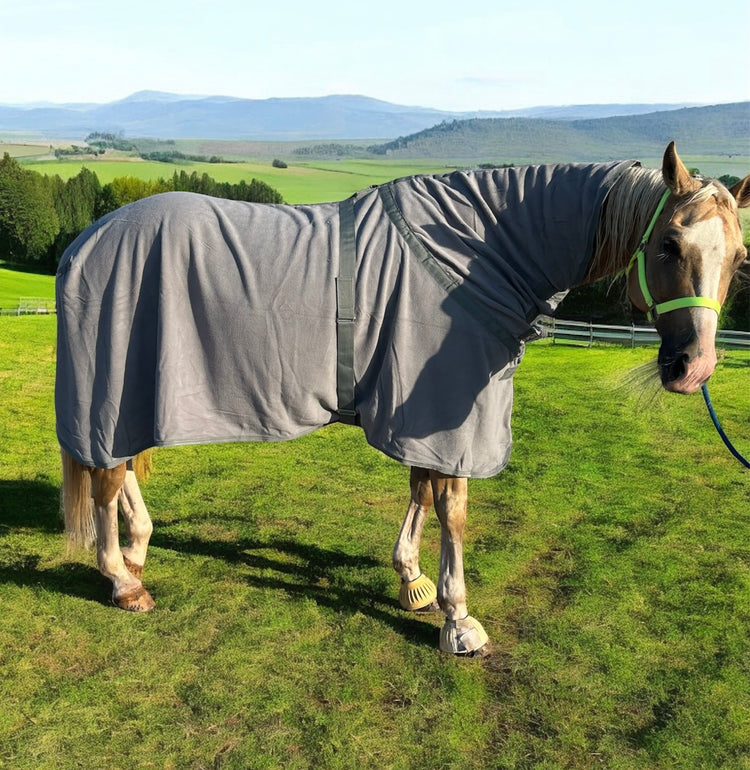 Couvertures pour chevaux – Séchantes, couvre reins, céramique et hiver