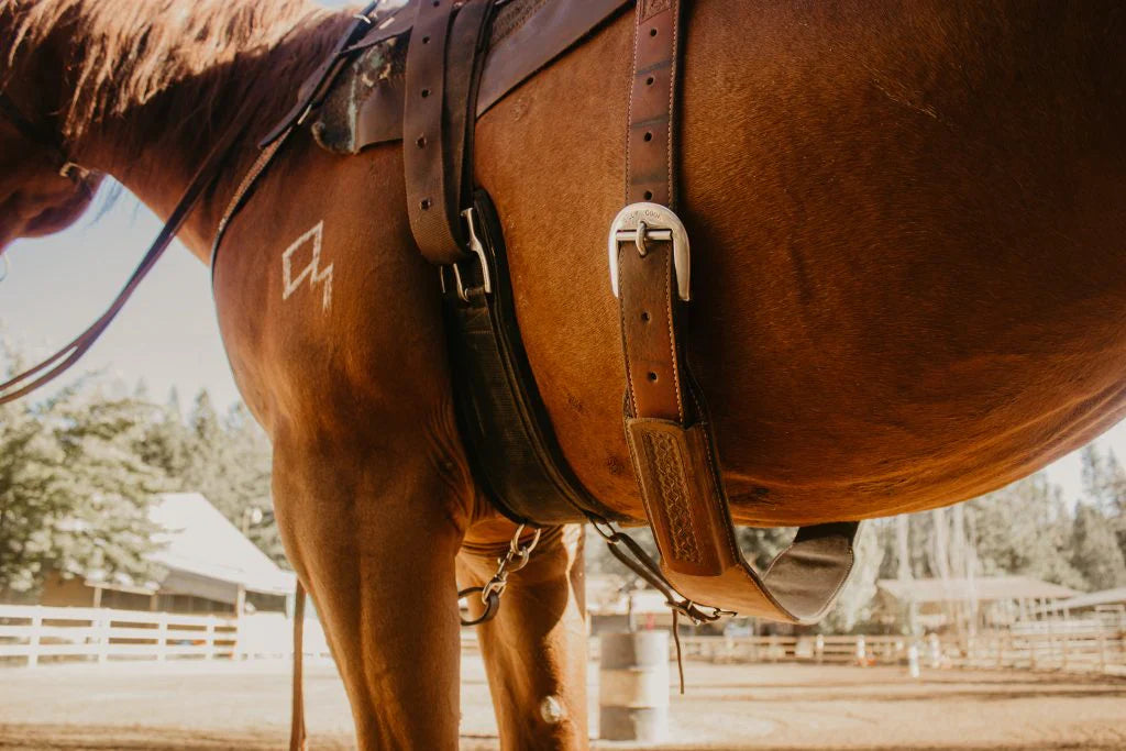 Back cinch western