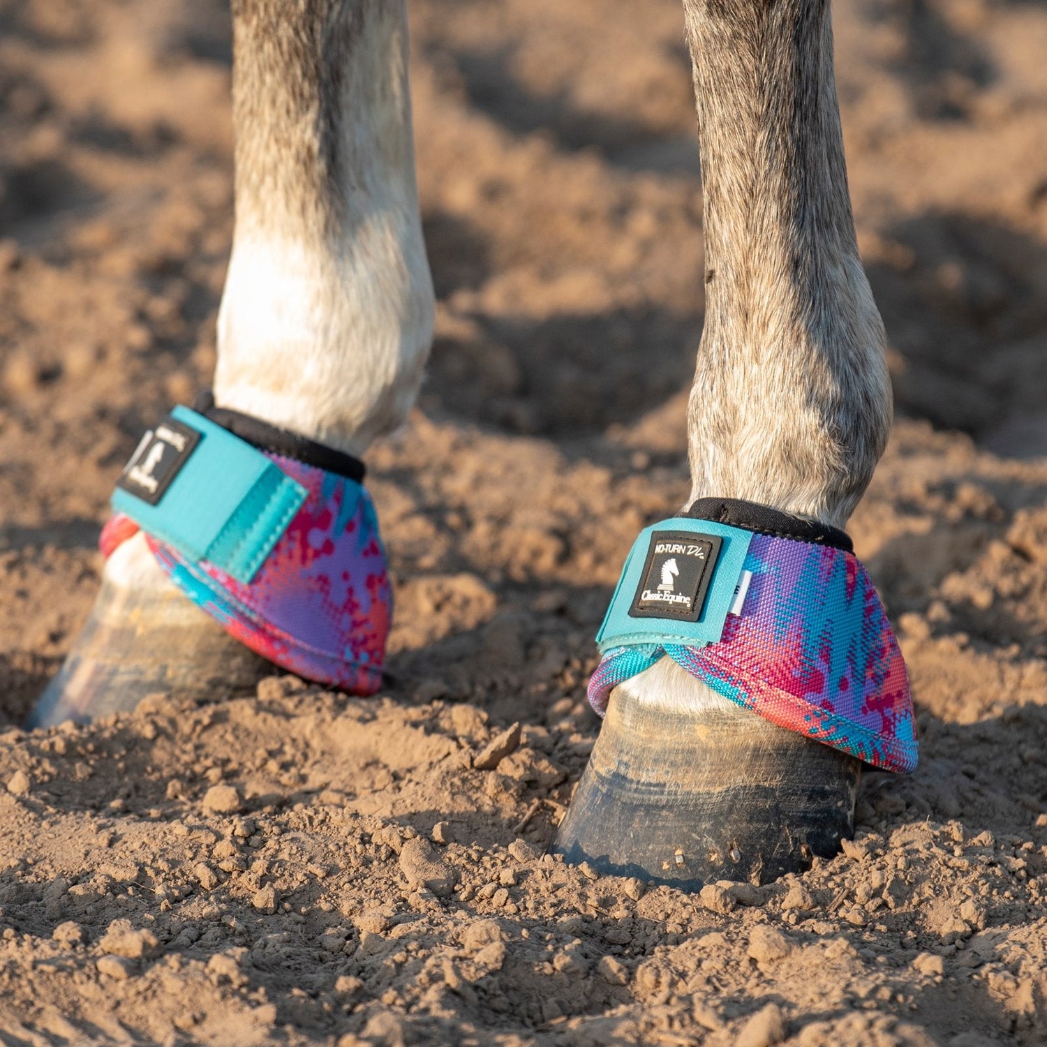 Cloches pour Cheval : Protections Western & bell Boots