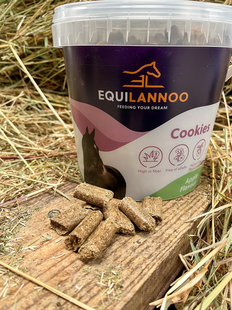 Friandises pour Chevaux : Récompenses & Gourmandises