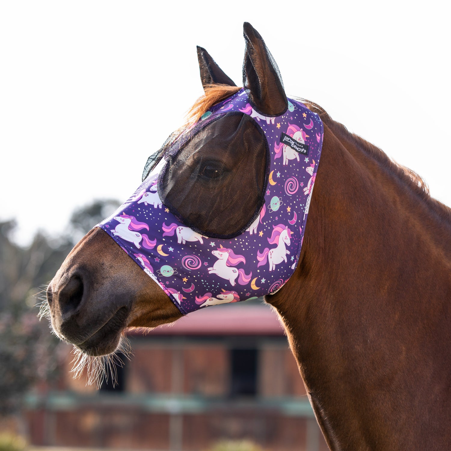 Protections anti mouches pour cheval