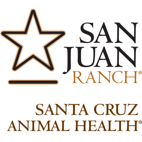 UltraCruz® - Produits de Soin pour Chevaux – Toilettage et Bien-être Équin Premium