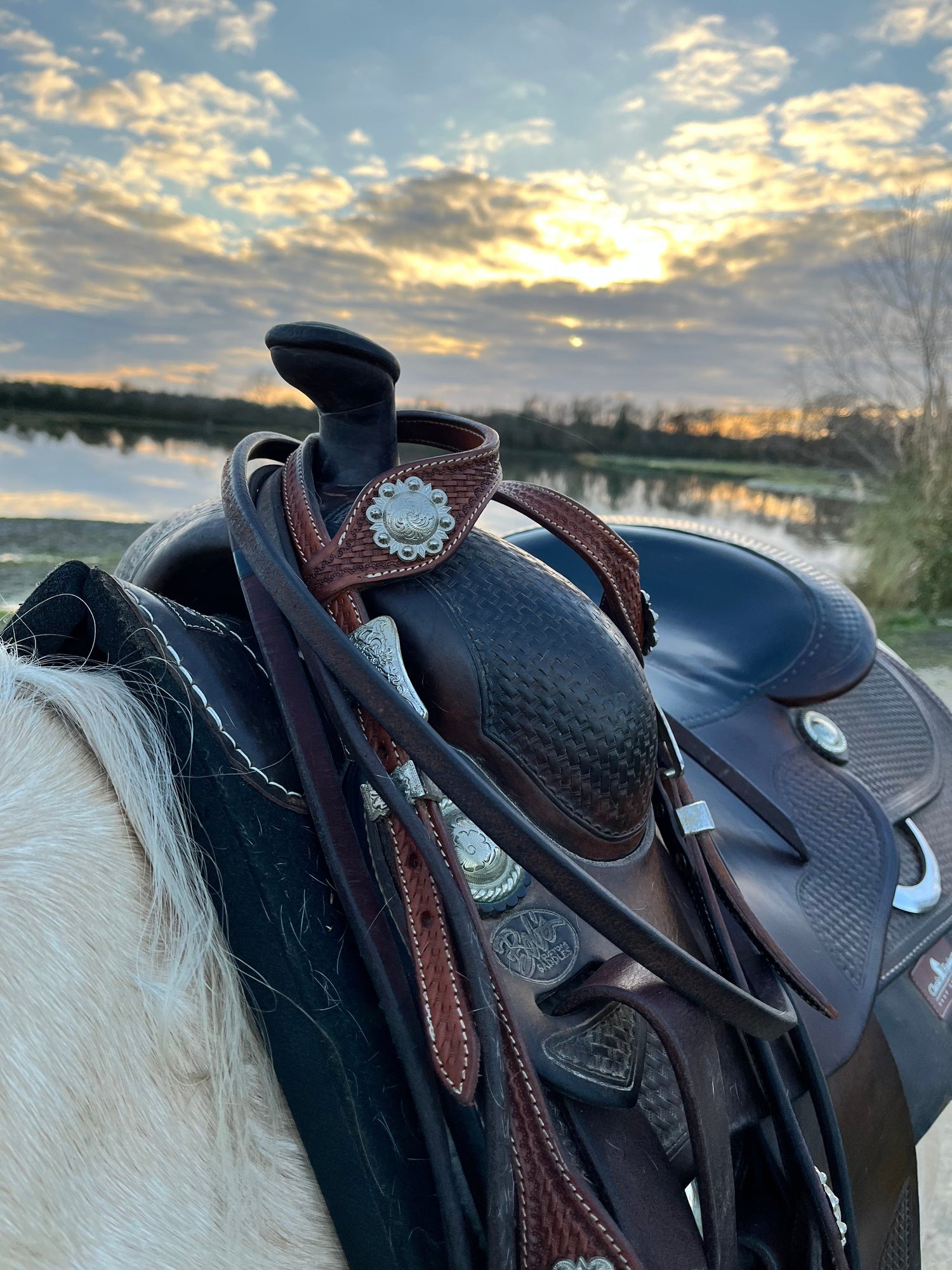 Selles et Accessoires Western  Équipement Cheval et Cavalier