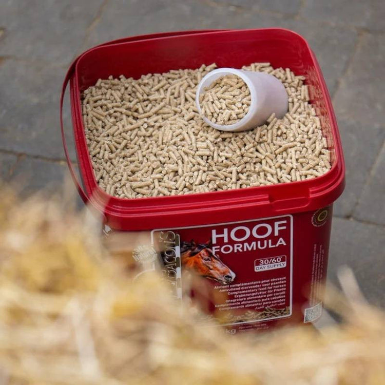 Biotine Kevin Bacon’s Hoof Formula pour chevaux, complément alimentaire pour sabots et croissance de la corn