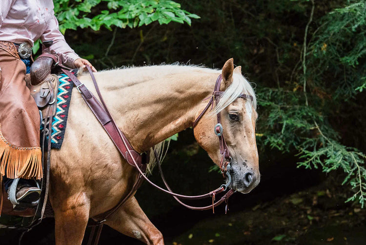Brides Western & Accessoires | Équipement Cheval