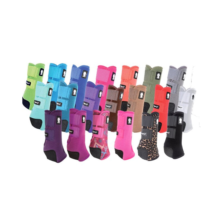 Protection du cheval