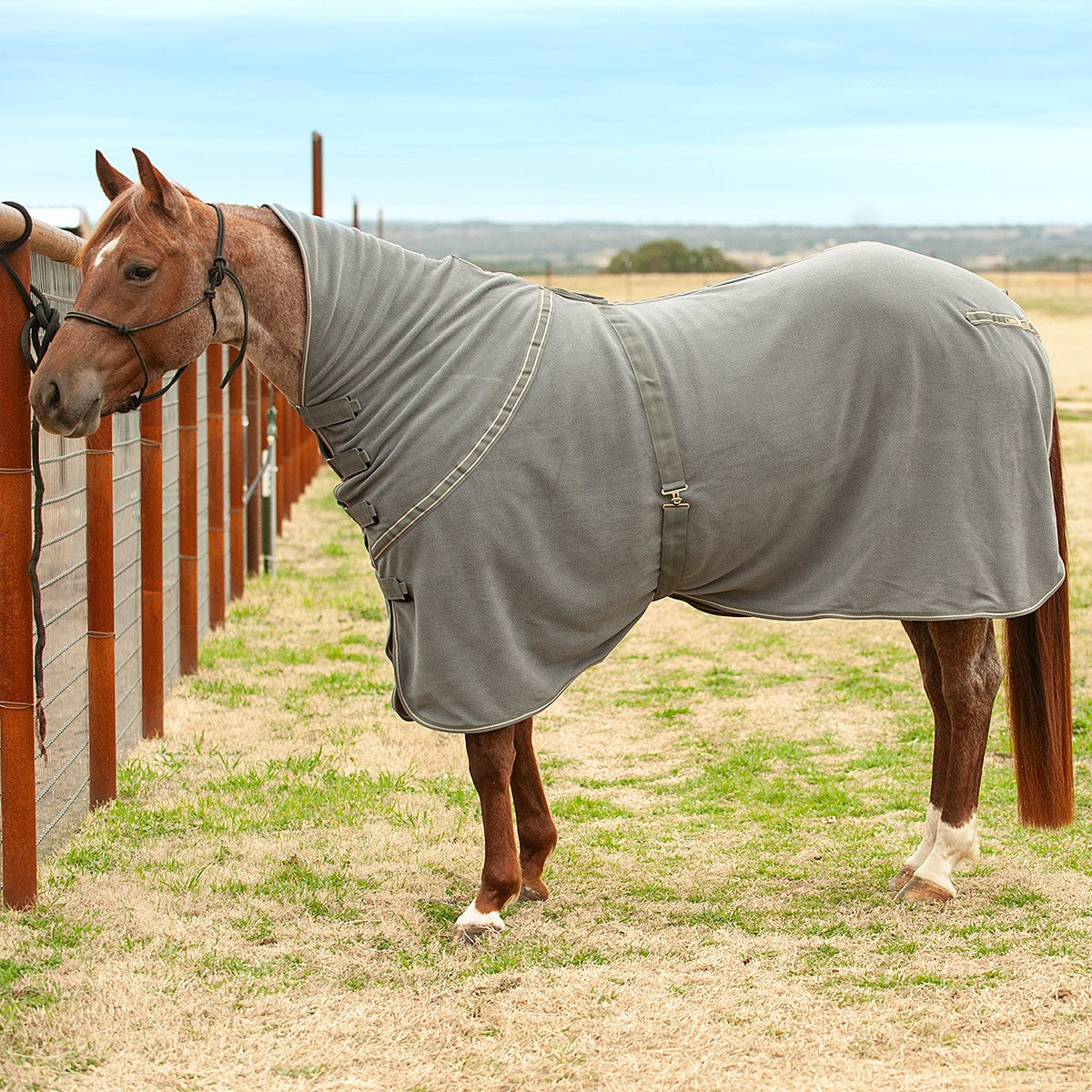 Couvertures Séchantes pour Cheval