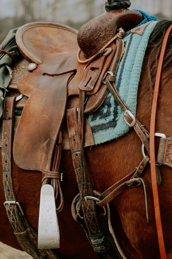 Tack Western : Équipement & Accessoires d'Équitation Western