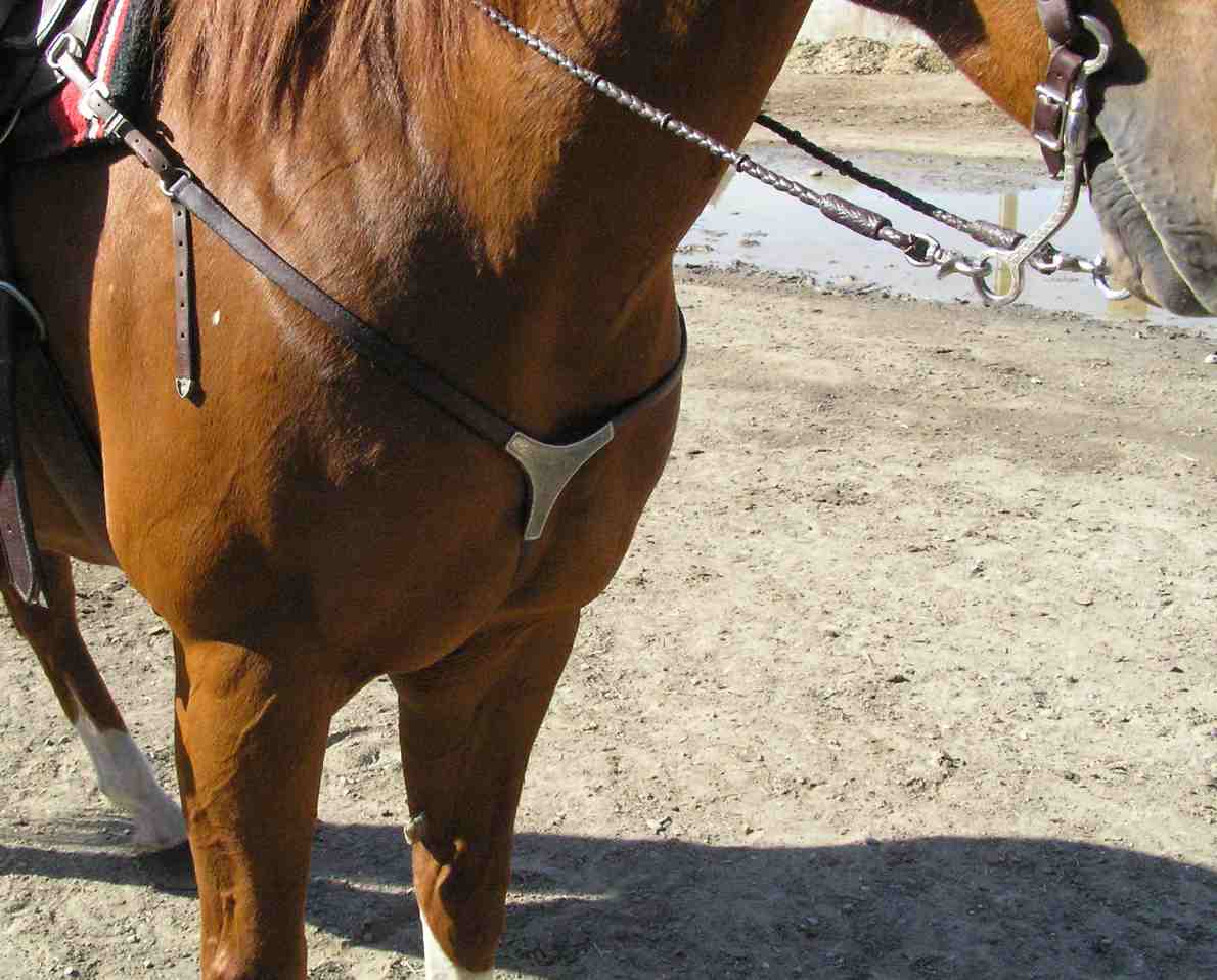 Colliers de chasse western