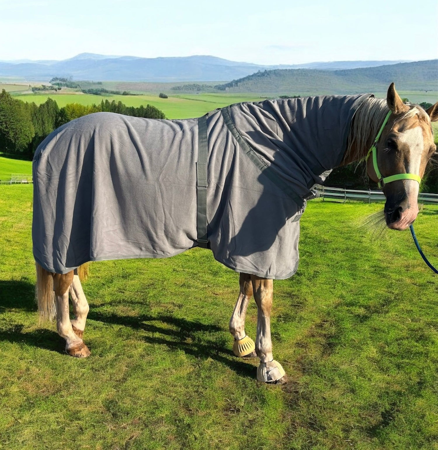 Pour le cheval