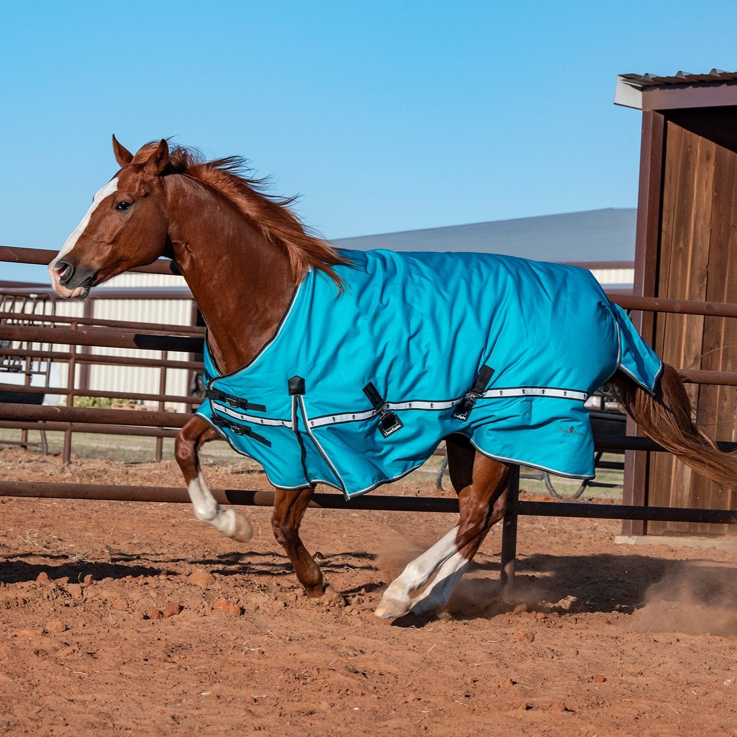 Couvertures d'Hiver pour Cheval : Imperméables & Chaudes