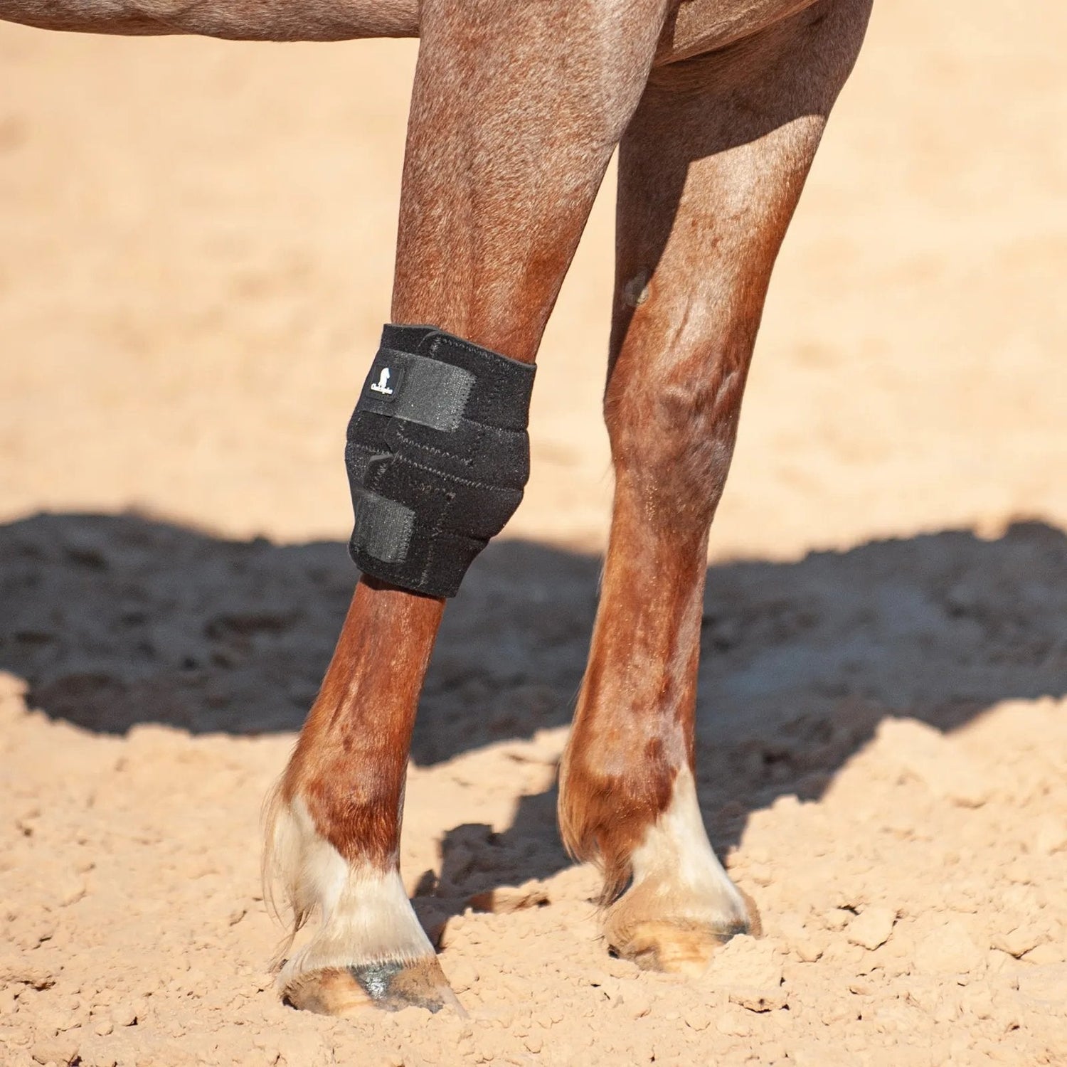 Genouillères Cheval Western | Classic Equine, Professional’s Choice & Lami-Cell
