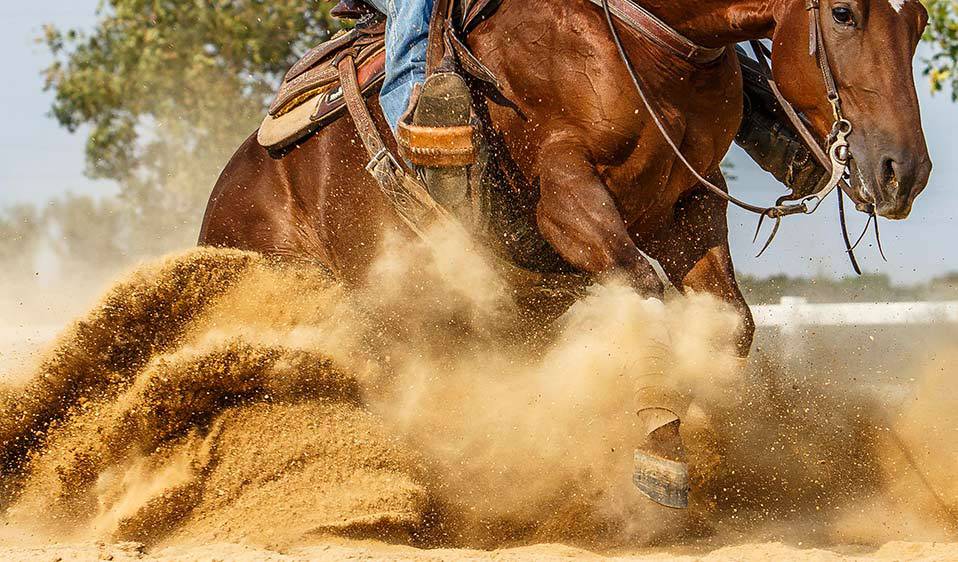 Skid Boots Western | Classic Equine, Professional's Choice & Lami-Cell