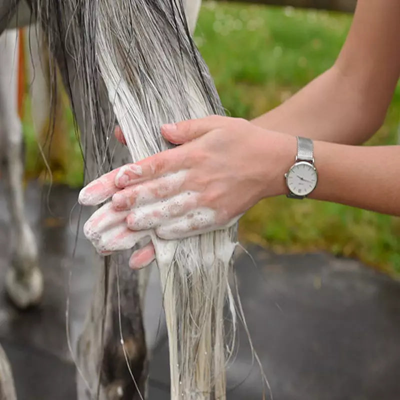 Shampoings pour Chevaux : Fiebing's, Cowboy Magic & UltraCruz
