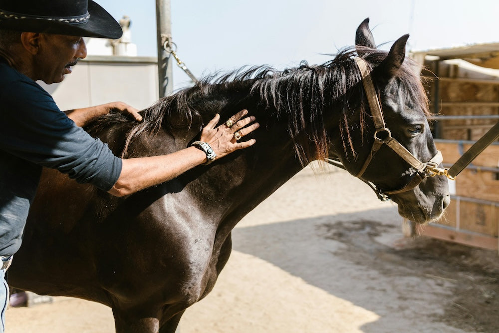 Soins anti insectes - Protection pour votre cheval