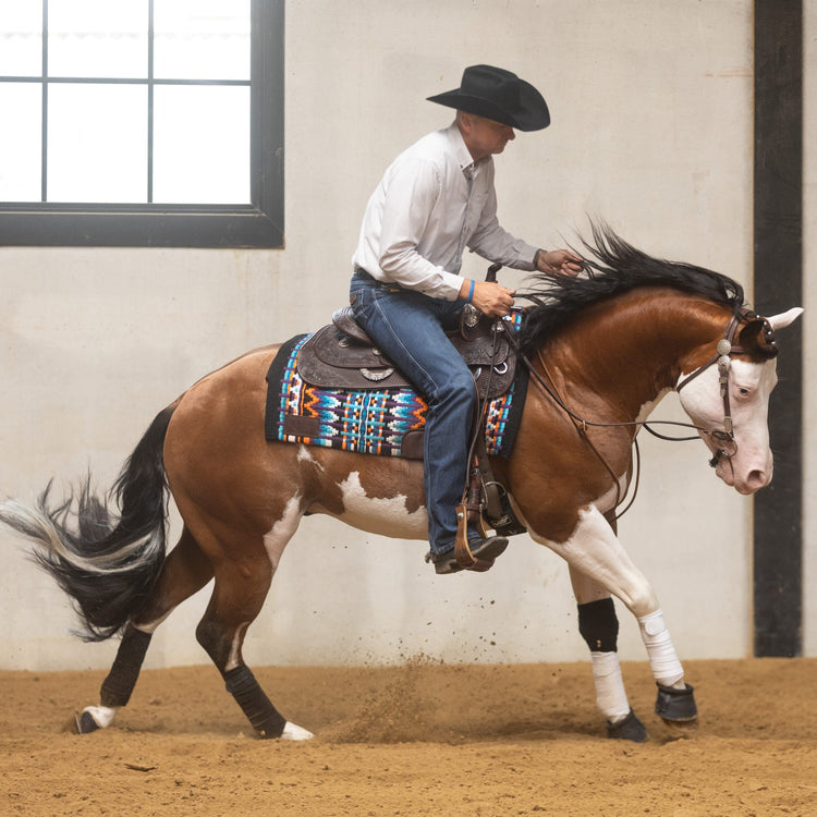 Martingales & Draw Reins Western | Enrênements pour Chevaux