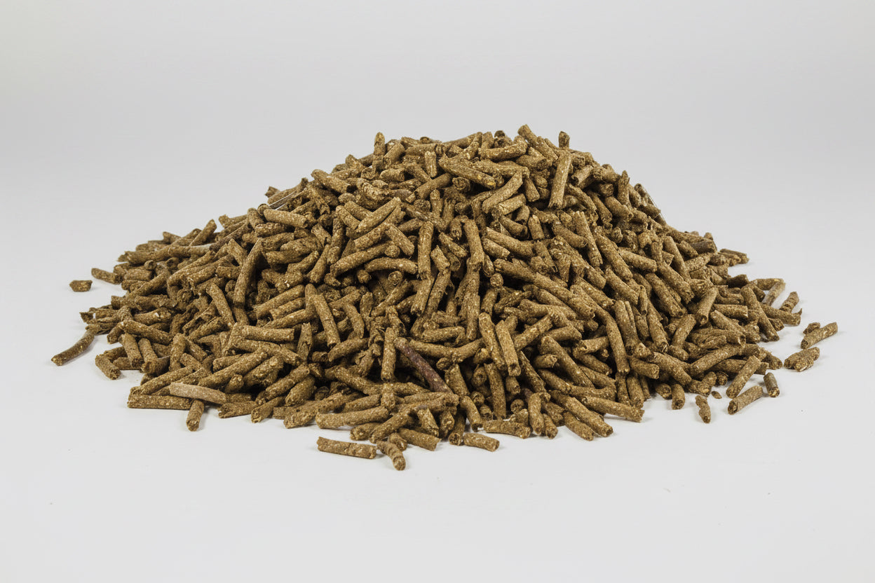 Alimentation pour Chevaux : Compléments & Nutrition