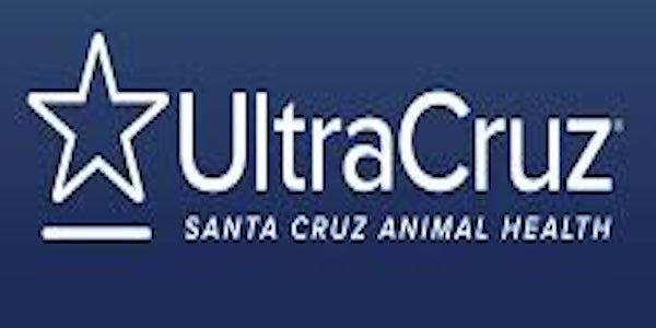 UltraCruz® - Produits de Soin pour Chevaux – Toilettage et Bien-être Équin Premium