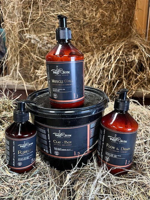 Produits de Pansage : Brosses, Kits & Soins pour Cheval
