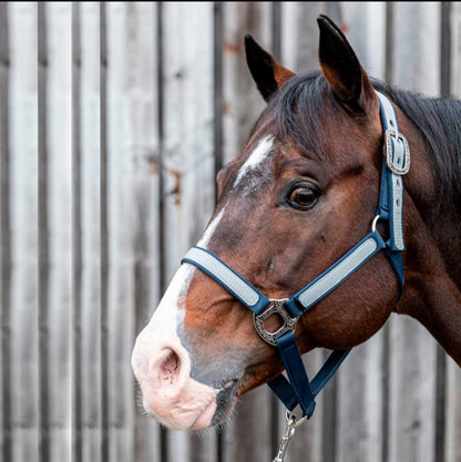 Licol Idaho en polypropylène avec longe assortie – boucles Bernard Fonck
