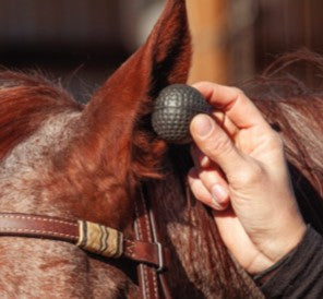 Bouchons d’Oreilles pour Chevaux en Mousse – Classic Equine (2 Paires)