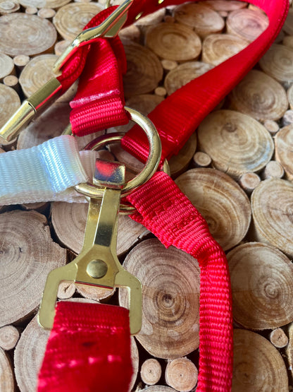 Licol LAKOTA drapeau USA