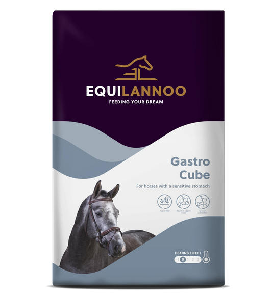 Gastro Cube Equilannoo – Aliment pour chevaux à l’estomac sensible